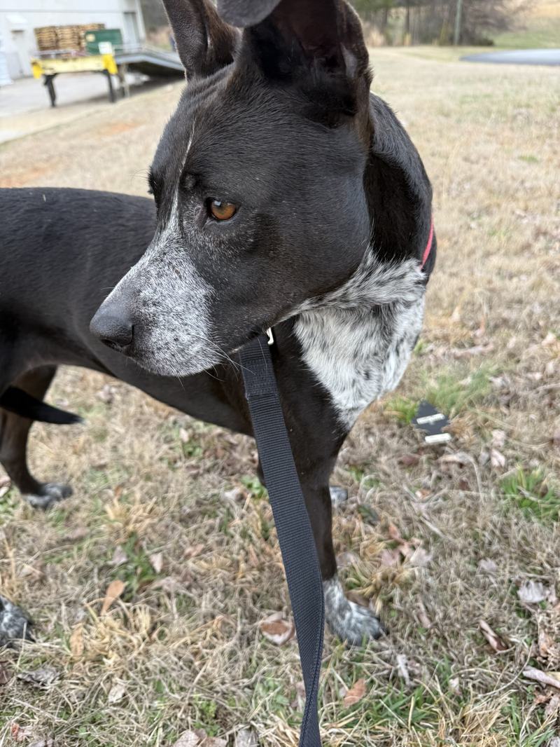 Emiy and her stunning profile