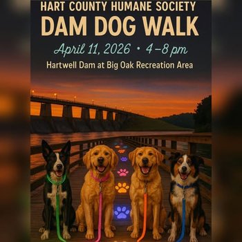 19th Annual Dam Dog Walk