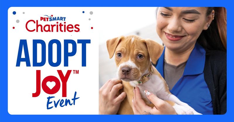 Adopt Joy PetSmart
