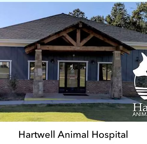 Hartwell Animal Hospital participates in our spay / neuter program
