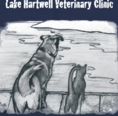 lake_hartwell_veterinary_clinic