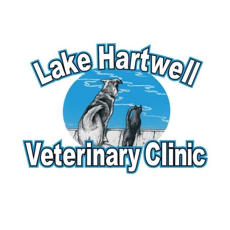 lhvc2