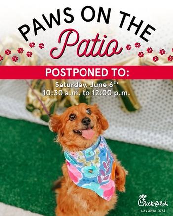 Paws on the Patio