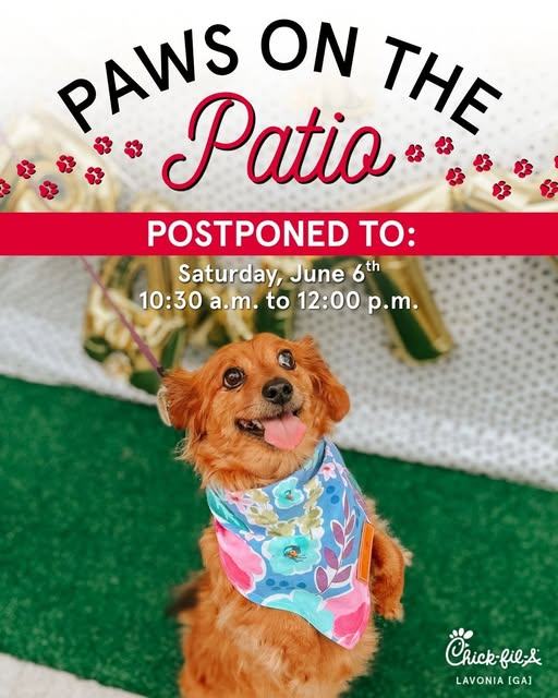 Paws on the Patio