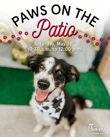 Paws on the Patio
