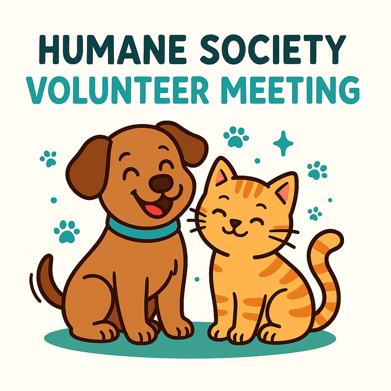 Volunteer Meeting